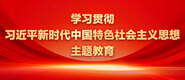 插极品少萝的小穴学习贯彻习近平新时代中国特色社会主义思想主题教育_fororder_ad-371X160(2)